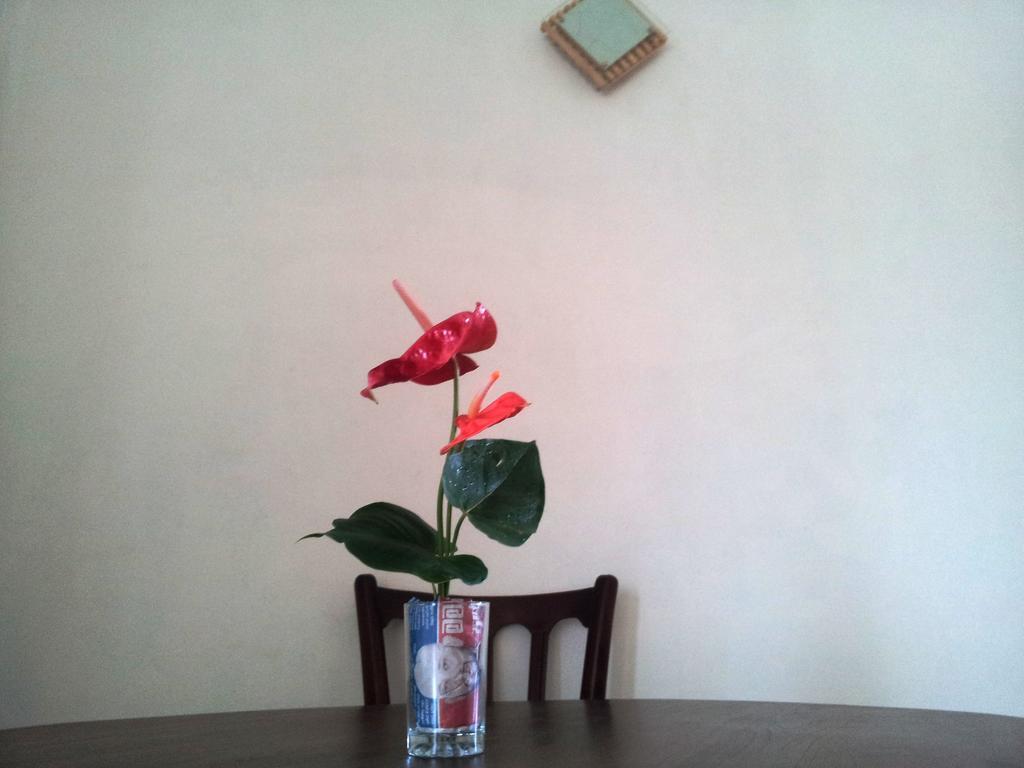 Bed and Breakfast Calidan Mirissa Exterior foto
